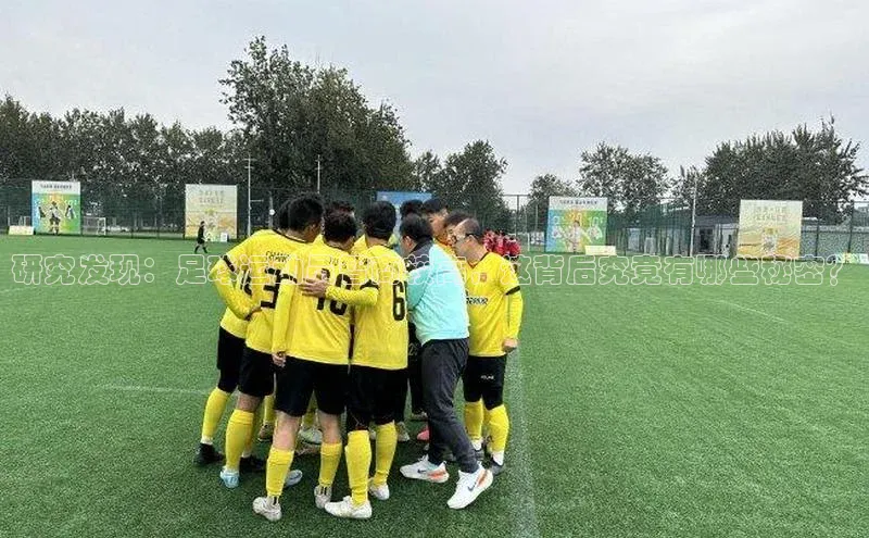 万向娱乐app官网下载百度网盘企业版研究发现：足球运动员智商较高，这背后究竟有哪些秘密？