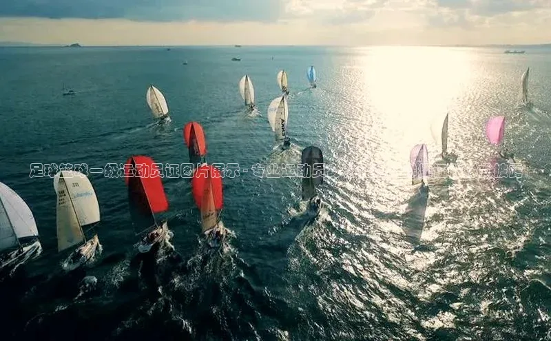 万向娱乐官网登录入口ARGA公司足球篮球一级运动员证图片展示 - 专业运动员身份证明，详细证件样式披露