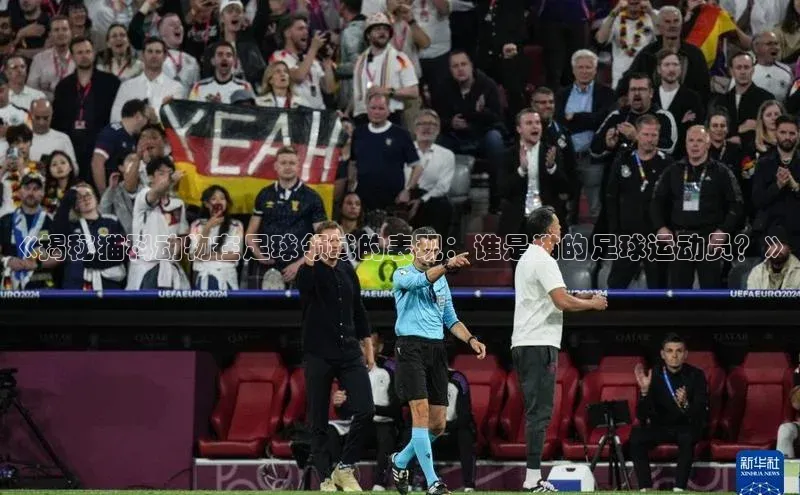 万向娱乐官方网站携程《揭秘猫科动物在足球领域的表现：谁是猫的足球运动员？》