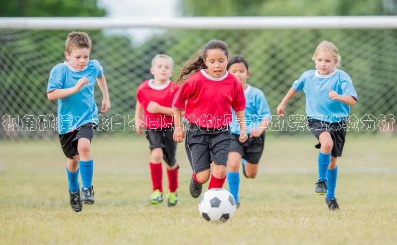 万向娱乐官网网页版登录入口如流视角碰撞：来自不同群体的观看运动赛事体验分析