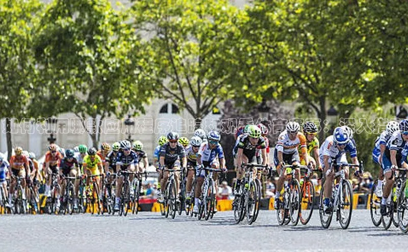 如何利用哪款应用程序追踪和观看体育赛事：深入指南