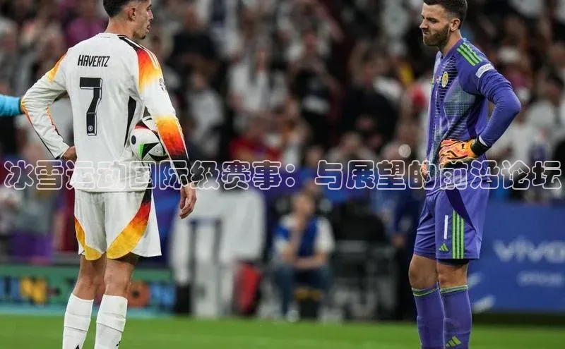 冰雪运动国际级赛事：与展望的前沿论坛