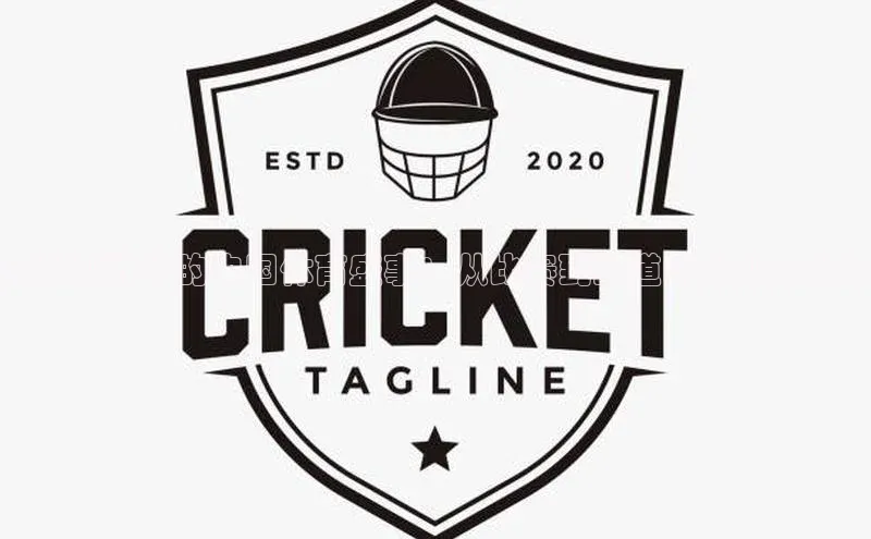 全球视野下的中国体育盛事：从比赛到报道的新视角分析