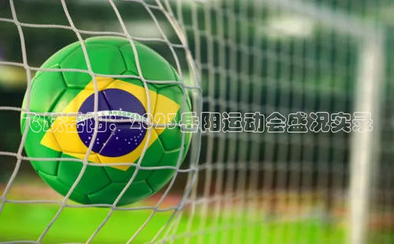 飞跃岳阳：2023岳阳运动会盛况实录