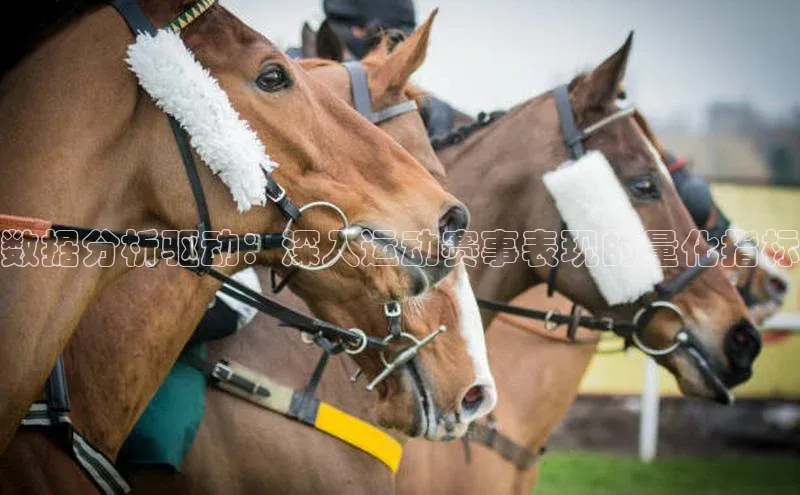 数据分析驱动：深入运动赛事表现的量化指标
