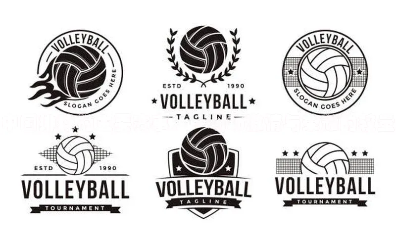 中国排球的主要赛事：一场场激情与荣耀的较量