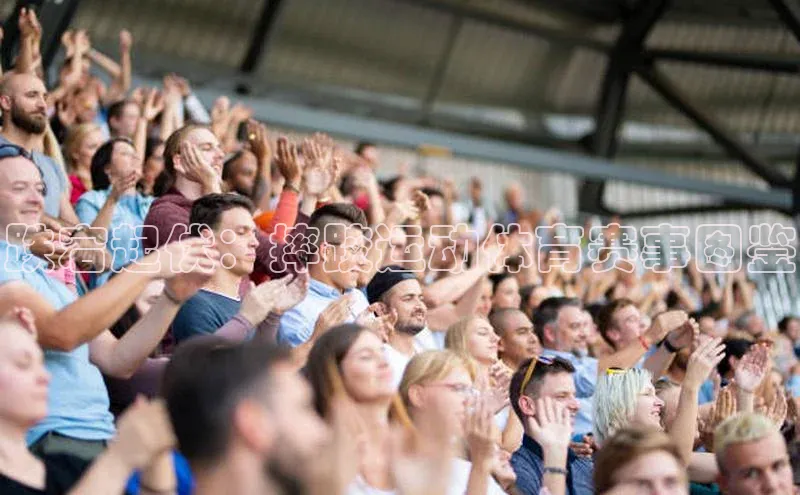 跌宕起伏：摔跤运动体育赛事图鉴