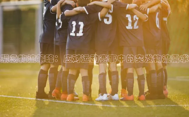 紧急物流策略：应对运动赛事中的突发物流需求