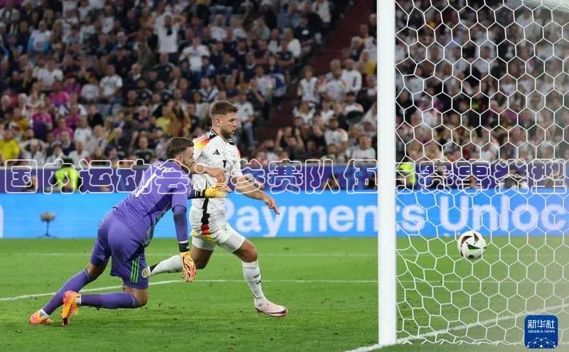 国内运动会：参赛队伍与赛事类型