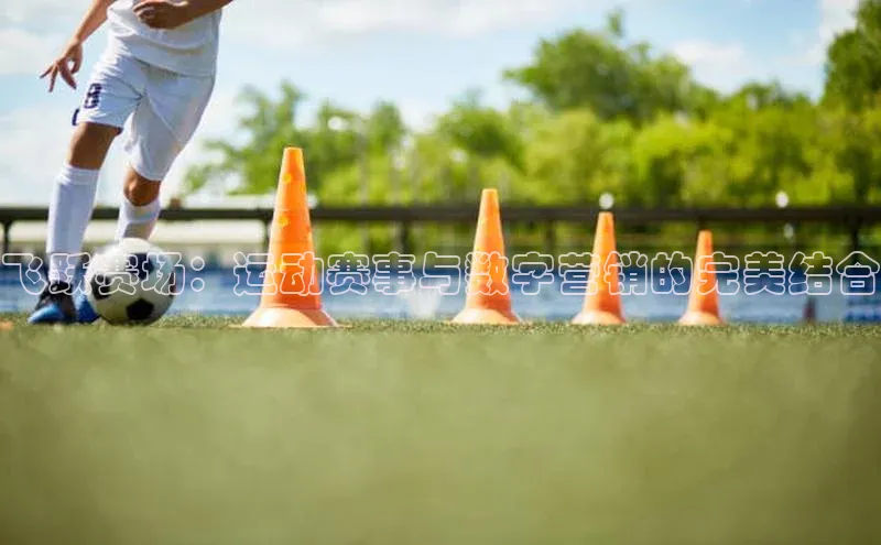 飞跃赛场：运动赛事与数字营销的完美结合