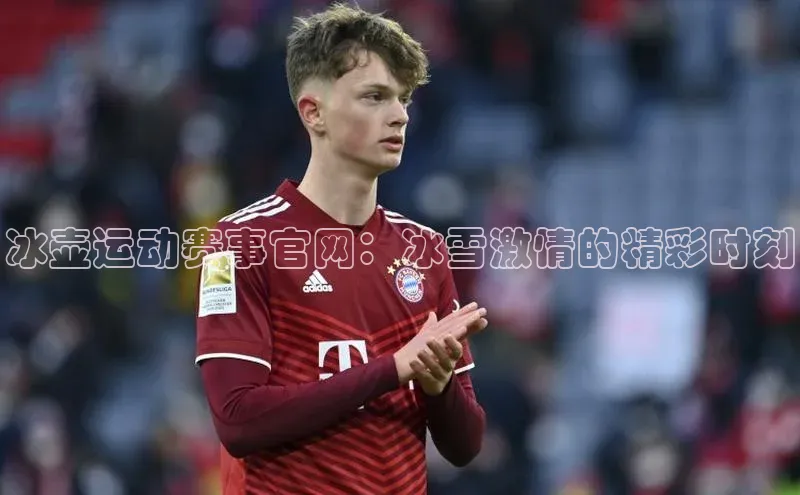 冰壶运动赛事官网：冰雪激情的精彩时刻