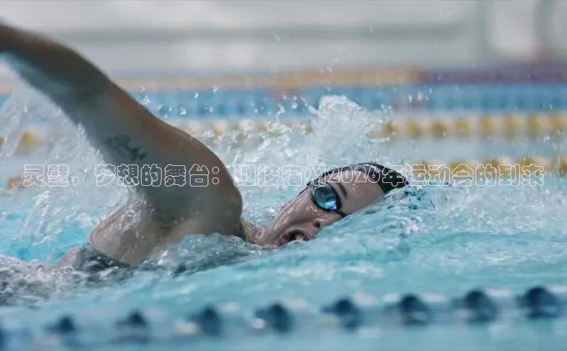 灵璧，梦想的舞台：迎接宿州2026年运动会的到来
